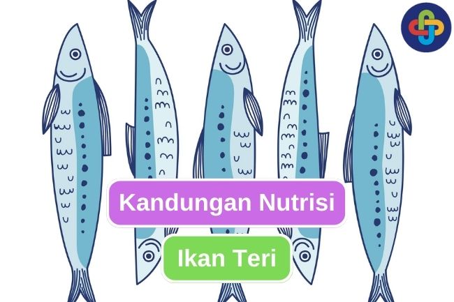 6 Kandungan Nutrisi Penting Pada Ikan Teri